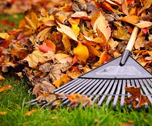 Five Energy-Saving Projects for Fall
