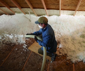 What You Need to Know About Attic Insulation