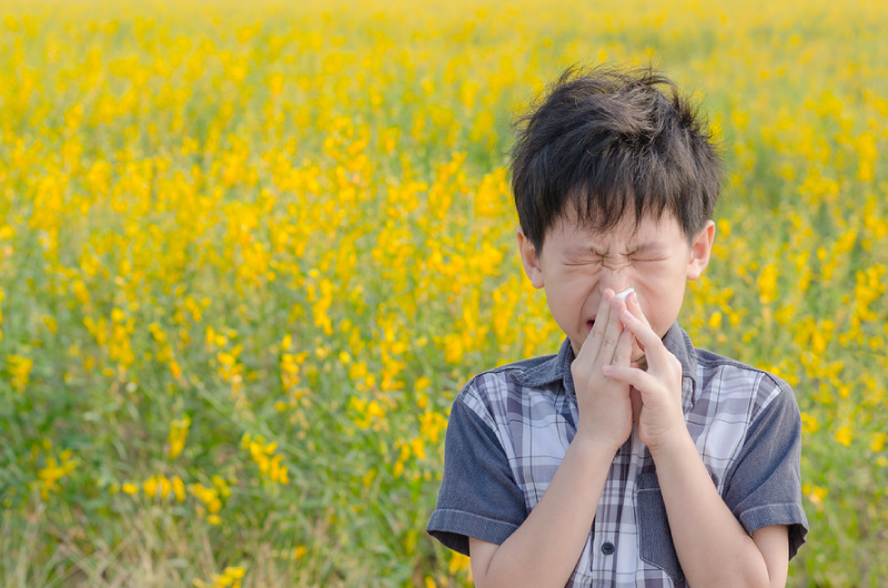 boy Suffering from Allergies in a field of yellow flowers