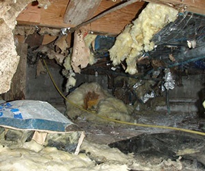How to know if crawl space insulation needs to be replaced