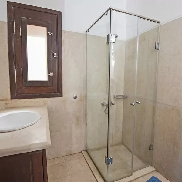 Small shower with new glass door